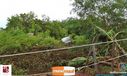08-11-2015_chuva_forte_065.jpg