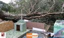 08-11-2015_chuva_forte_092.jpg