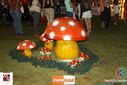 IMG_8592.jpg