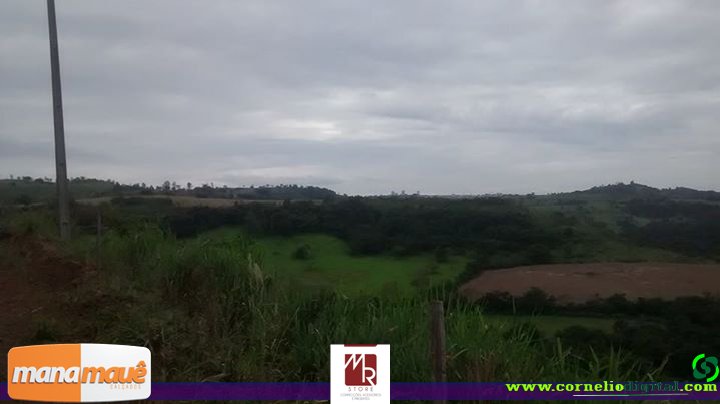 04-04-2015_Caminhada_20.jpg