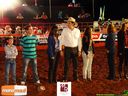 21-03-2015_rodeio_12.jpg