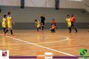 IMG_3946.jpg