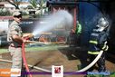 Filename=08-08-2015_trilha_fogo_217.jpg
Filesize=125KiB
Dimensions=790x527
Date added=Aug 11, 2015 08-08-2015_trilha_fogo_217.jpg