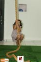 Filename=IMG_0896.jpg
Filesize=102KiB
Dimensions=790x1187
Date added=Mar 14, 2015 IMG_0896.jpg