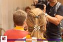 Filename=IMG_0090.jpg
Filesize=78KiB
Dimensions=790x527
Date added=Aug 18, 2015 IMG_0090.jpg