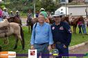 Filename=07-06-2015_expoasa_079.jpg
Filesize=115KiB
Dimensions=790x523
Date added=Jun 15, 2015 07-06-2015_expoasa_079.jpg