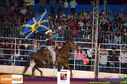 Filename=11-06-2015_expoasa_jads_jadson013.jpg
Filesize=131KiB
Dimensions=790x523
Date added=Jun 15, 2015 11-06-2015_expoasa_jads_jadson013.jpg