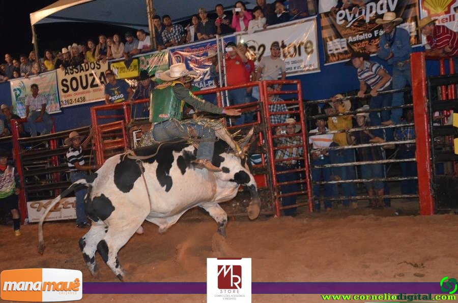 14-06-2015_expoasa_final_rodeio_005.jpg