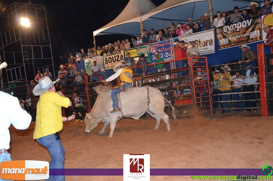 14-06-2015_expoasa_final_rodeio_031.jpg