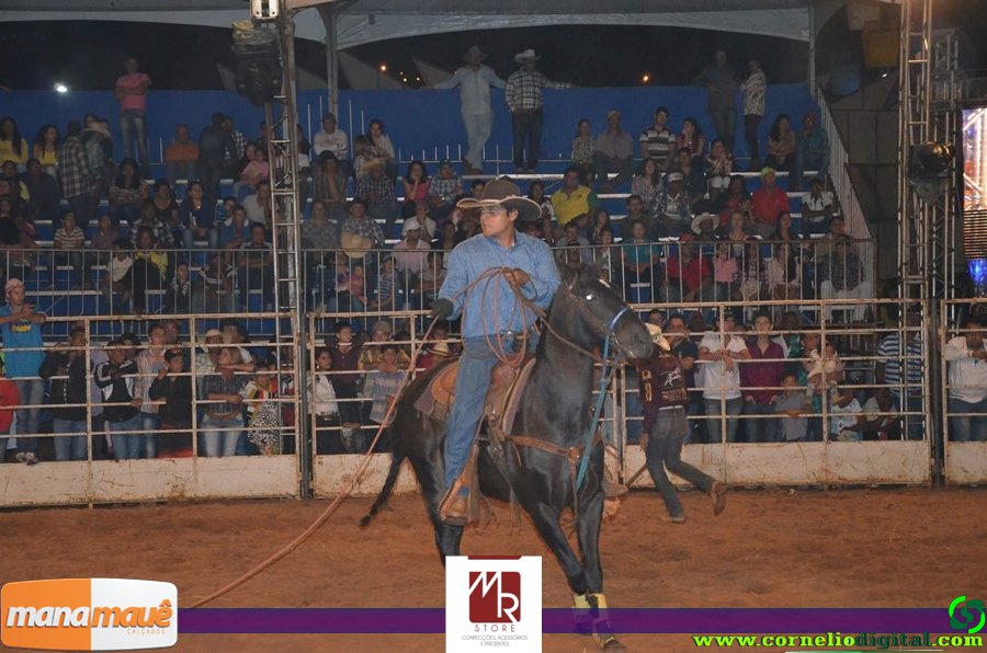 14-06-2015_expoasa_final_rodeio_032.jpg