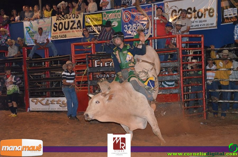 14-06-2015_expoasa_final_rodeio_042.jpg