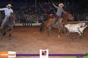 Filename=14-06-2015_expoasa_final_rodeio_060.jpg
Filesize=110KiB
Dimensions=900x596
Date added=Jun 15, 2015 14-06-2015_expoasa_final_rodeio_060.jpg