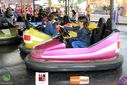 IMG_3524.jpg