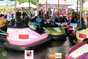 IMG_3526.jpg