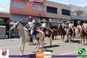 IMG_5346.jpg