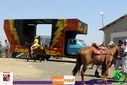 IMG_5885.jpg