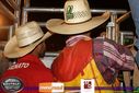 IMG_0029.jpg