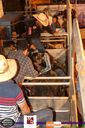 IMG_0254.jpg