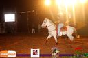 IMG_0741.jpg