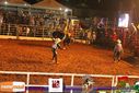 IMG_1002.jpg