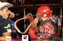IMG_0393.jpg