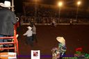 IMG_0417.jpg