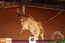 IMG_0938.jpg