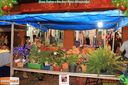 IMG_5390.jpg