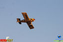 IMG_2043.jpg