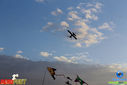 IMG_2049.jpg
