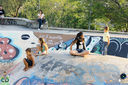 Filename=IMG_4498.jpg
Filesize=316KiB
Dimensions=790x526
Date added=Nov 01, 2016 IMG_4498.jpg