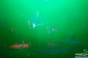 Filename=IMG_0894.jpg
Filesize=77KiB
Dimensions=790x526
Date added=Sep 27, 2016 IMG_0894.jpg