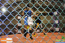 Filename=IMG_9310.jpg
Filesize=237KiB
Dimensions=790x526
Date added=Apr 04, 2016 IMG_9310.jpg
