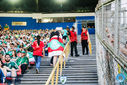 08-10-2016_AmericaMGXPalmeiras_250.jpg