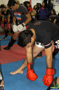 IMG_7929.jpg