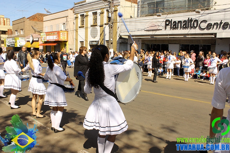 IMG_5337.jpg