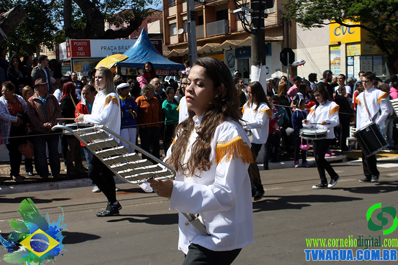 IMG_5487.jpg