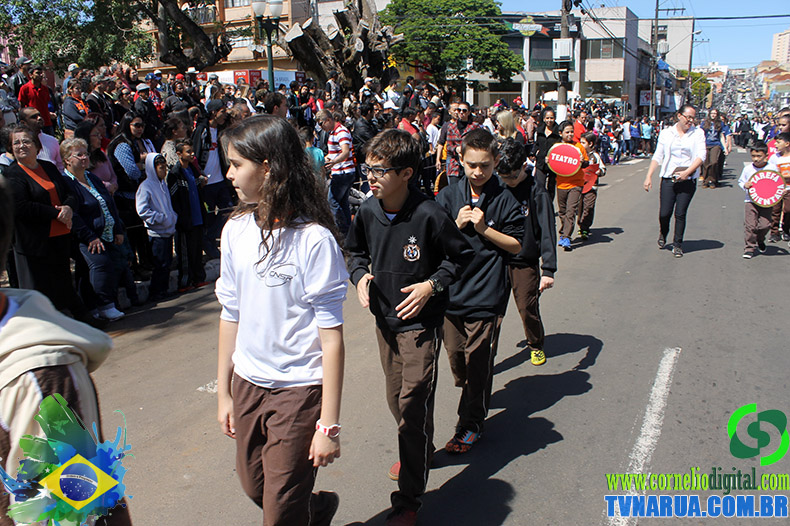 IMG_5965.jpg