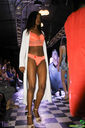 IMG_4374.jpg