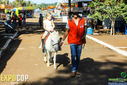 IMG_6495.jpg