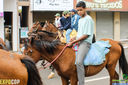 IMG_1173.jpg