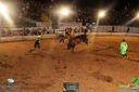 IMG_4354.jpg
