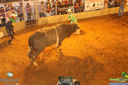 IMG_6579.jpg