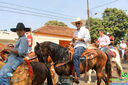 IMG_7452.jpg