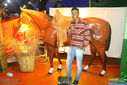 IMG_7922.jpg