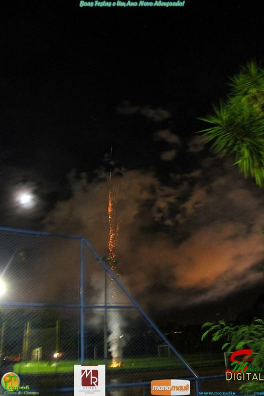 IMG_2828.jpg