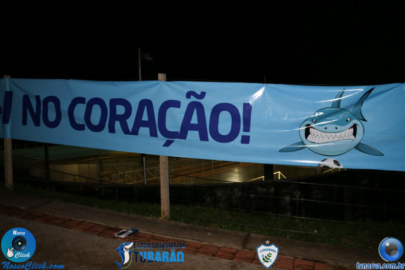 207.jpg