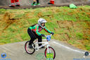 IMG_8657.jpg