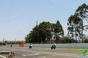 IMG_2448.jpg
