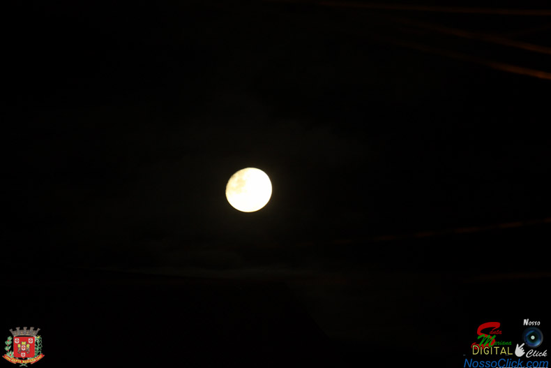 IMG_9285.jpg